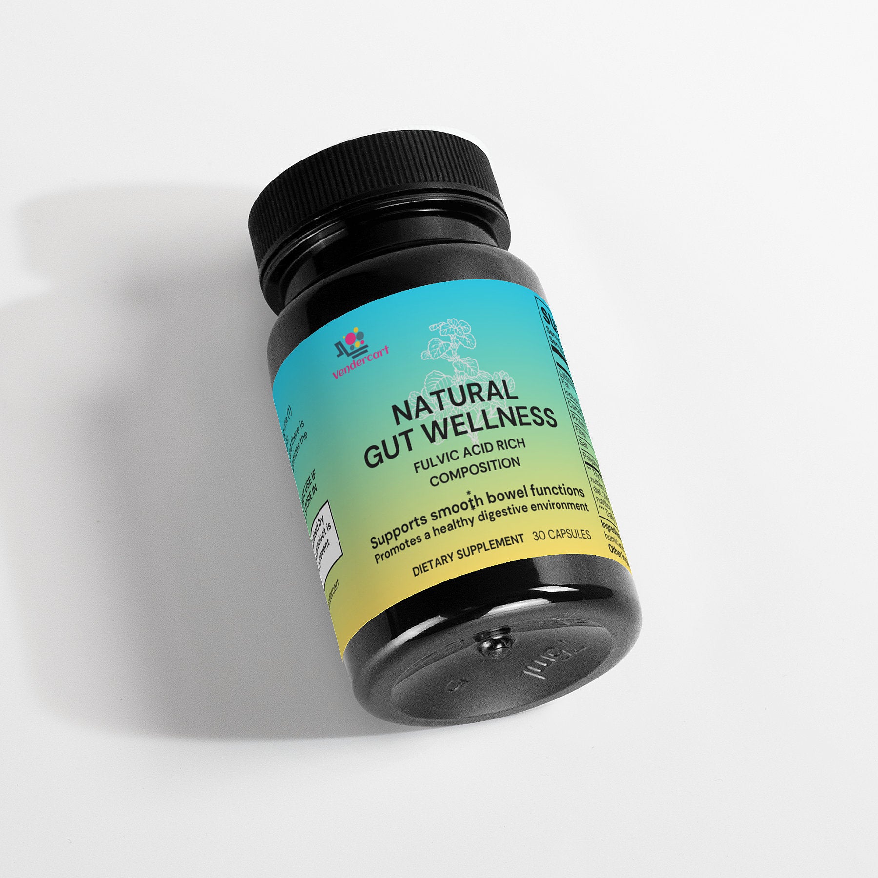 Natural Gut Wellness Promote Healthy Digestion & Microbiome Balance